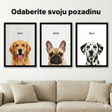 Pet Portrait on Acrylic Glass